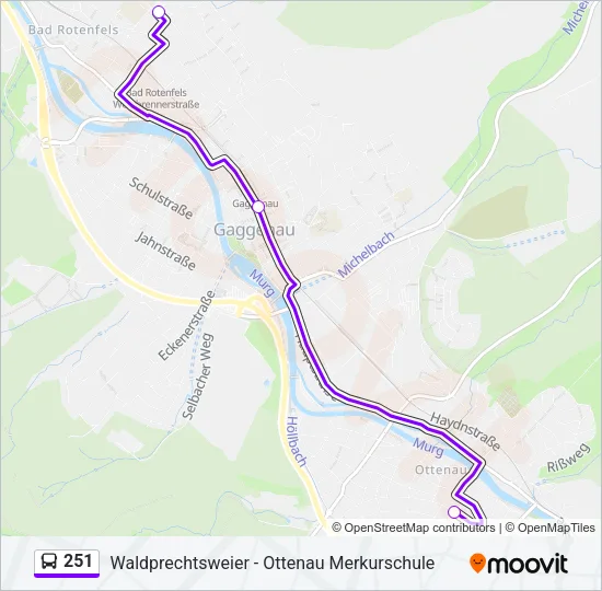 251 Bus Line Map