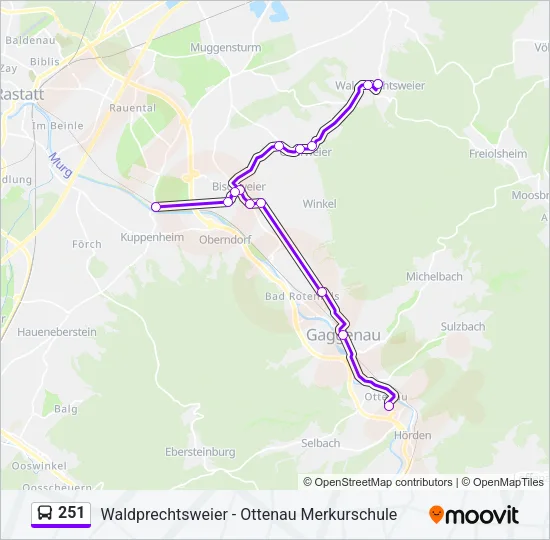 251 Bus Line Map