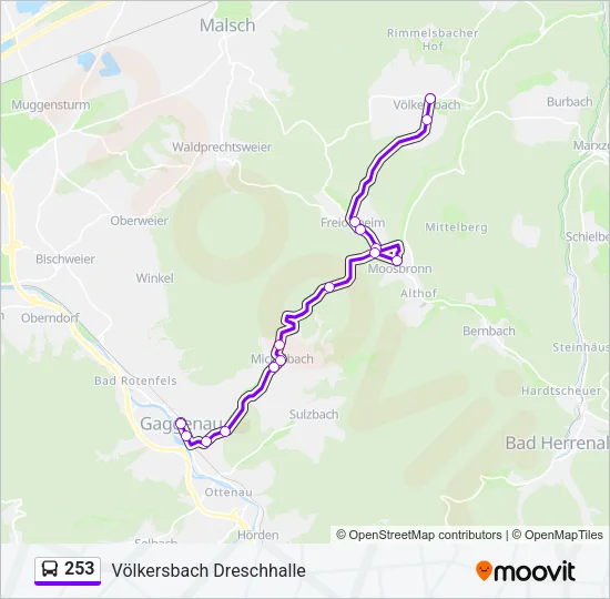 253 Bus Line Map
