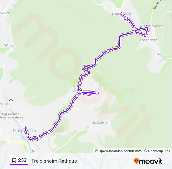 253 Bus Line Map