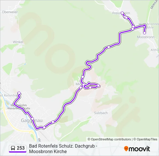 253 Bus Line Map