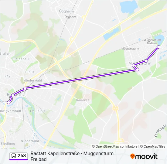 258 Bus Line Map