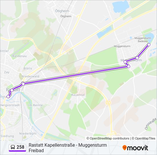 258 Bus Line Map