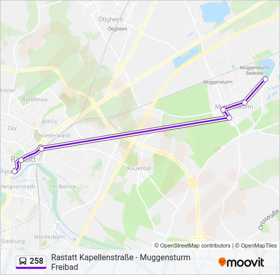 258 Bus Line Map