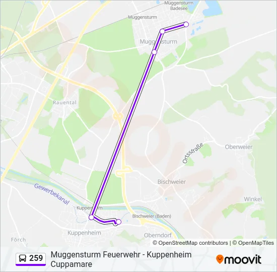 259 Bus Line Map