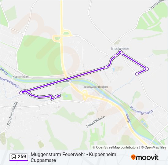 Автобус 259: карта маршрута