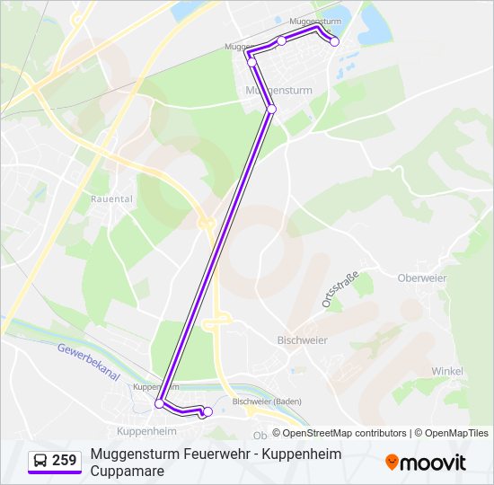 Автобус 259: карта маршрута