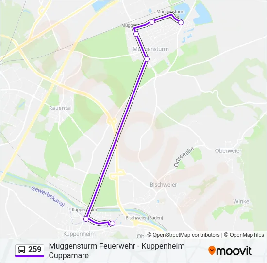 259 Bus Line Map