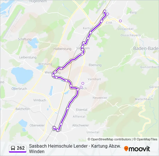 262 Bus Line Map
