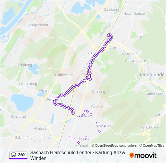 262 Bus Line Map