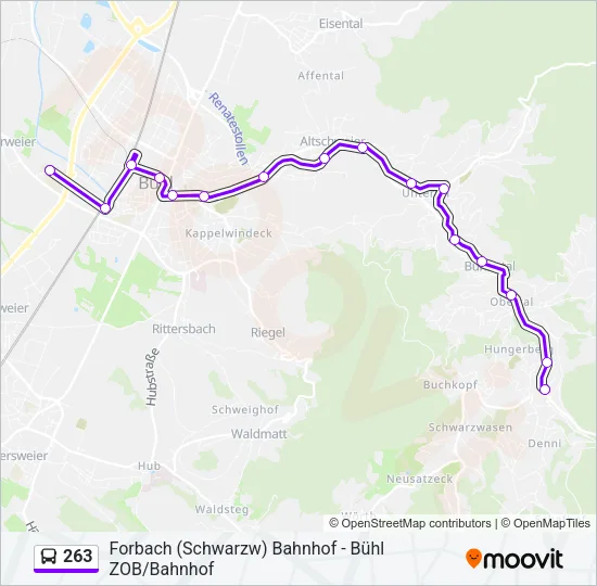 263 Bus Line Map