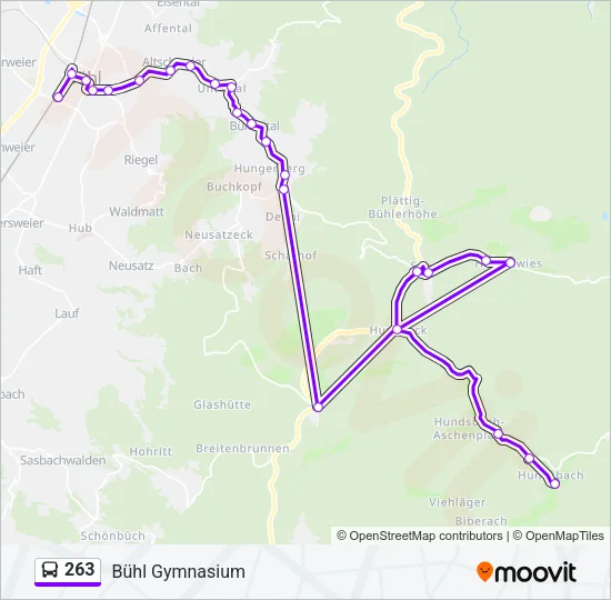 263 Bus Line Map
