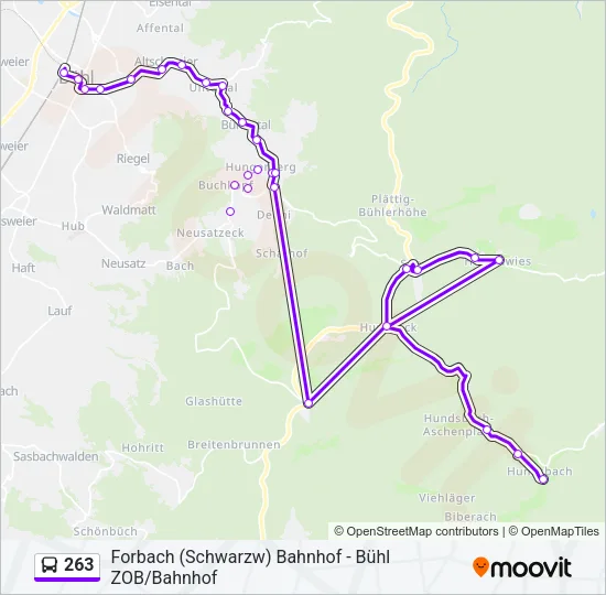 263 Bus Line Map