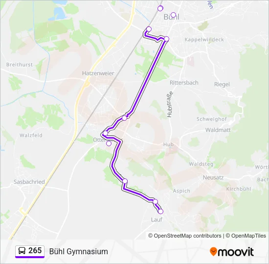 265 Bus Line Map