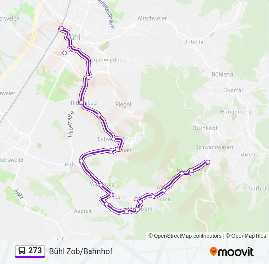 273 Bus Line Map