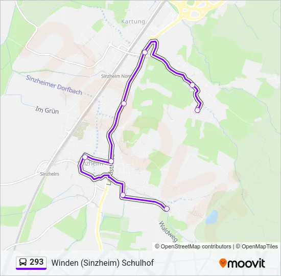 293 Bus Line Map