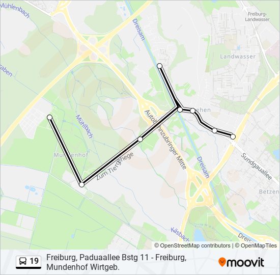 Автобус 19: карта маршрута