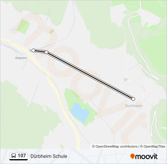 107 Bus Line Map