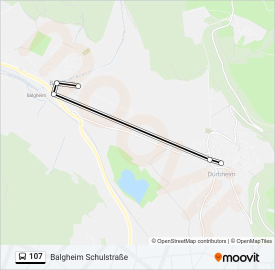 107 Bus Line Map