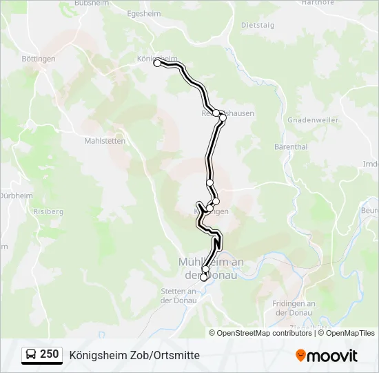 250 Bus Line Map