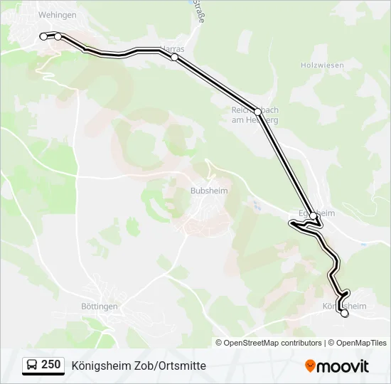 250 Bus Line Map