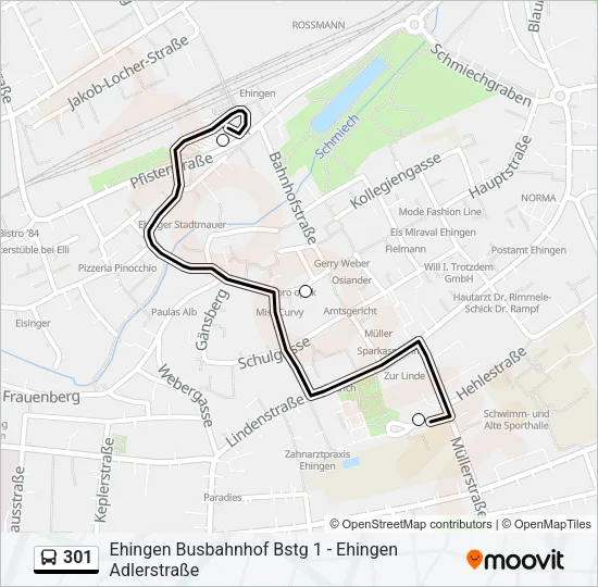 301 Bus Line Map