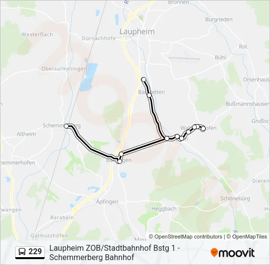 229 Bus Line Map