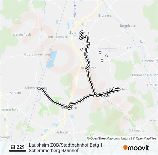 229 Bus Line Map