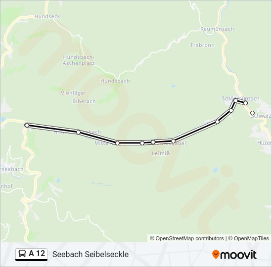 A 12 Bus Line Map