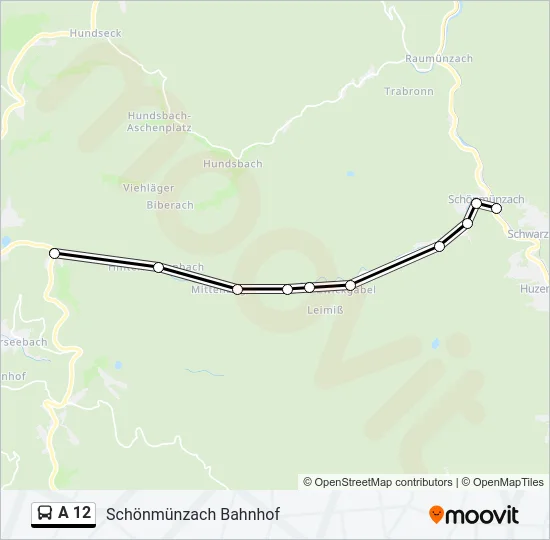A 12 Bus Line Map