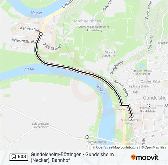 603 Bus Line Map