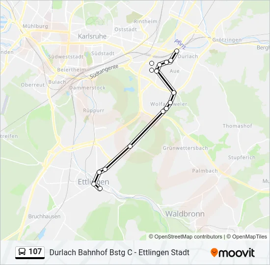 107 Bus Line Map