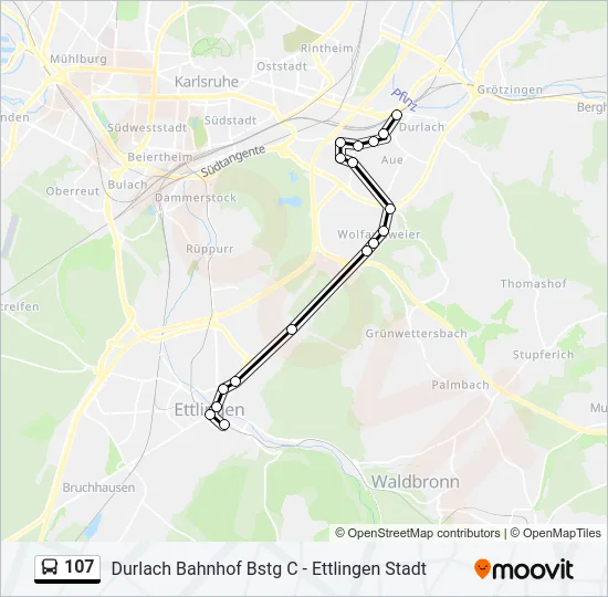 107 Bus Line Map