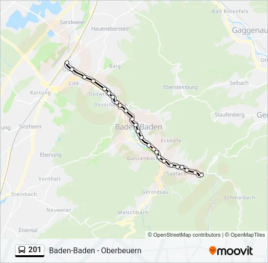 201 Bus Line Map