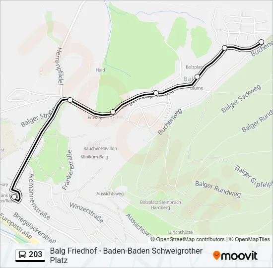 203 Bus Line Map