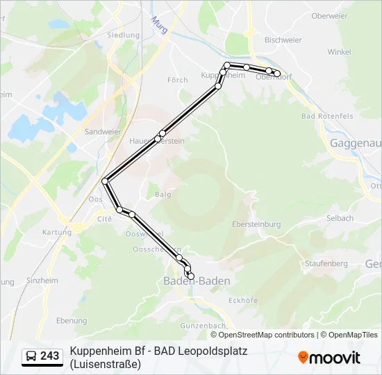 243 Bus Line Map