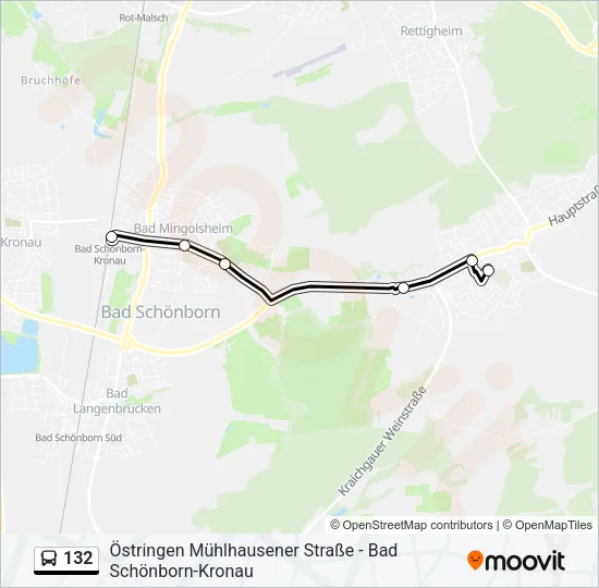 132 Bus Line Map