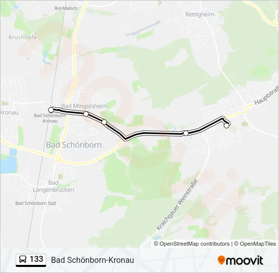 133 Bus Line Map