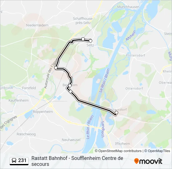 Автобус 231: карта маршрута