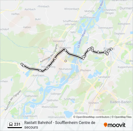 231 Bus Line Map