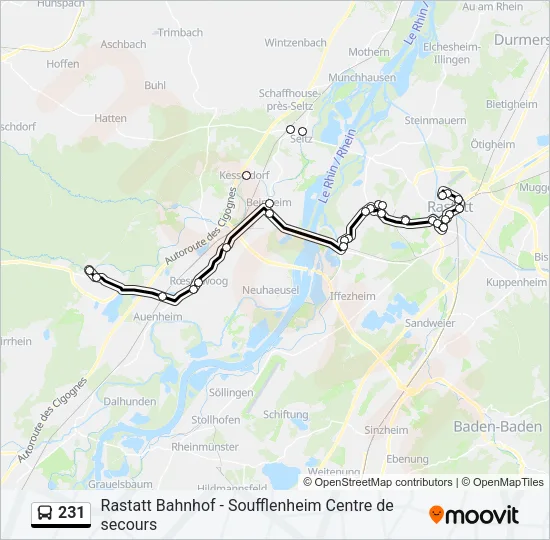 231 Bus Line Map