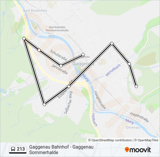 213 Bus Line Map