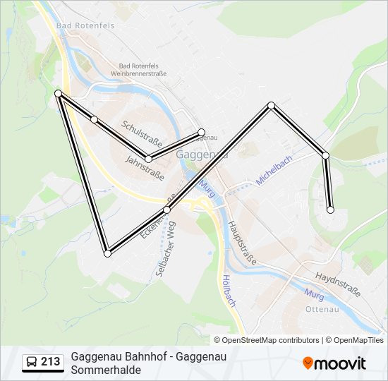 213 Bus Line Map