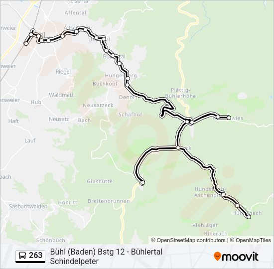 263 Bus Line Map