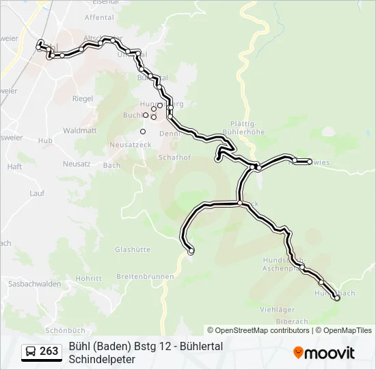 263 Bus Line Map