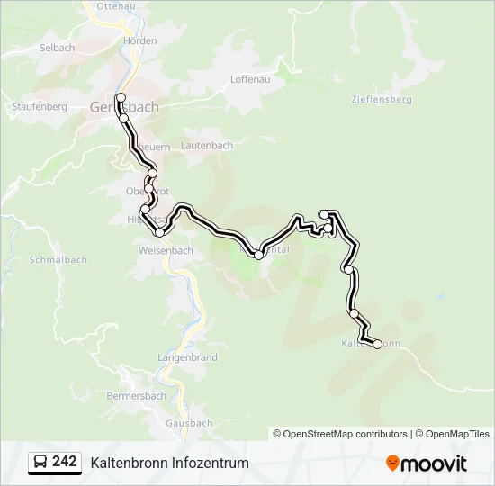 242 Bus Line Map