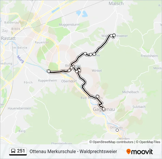 251 Bus Line Map