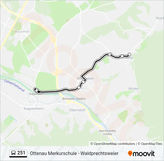 251 Bus Line Map
