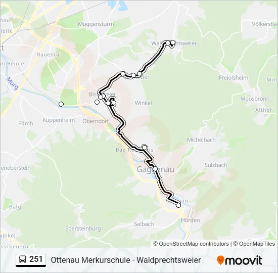 251 Bus Line Map