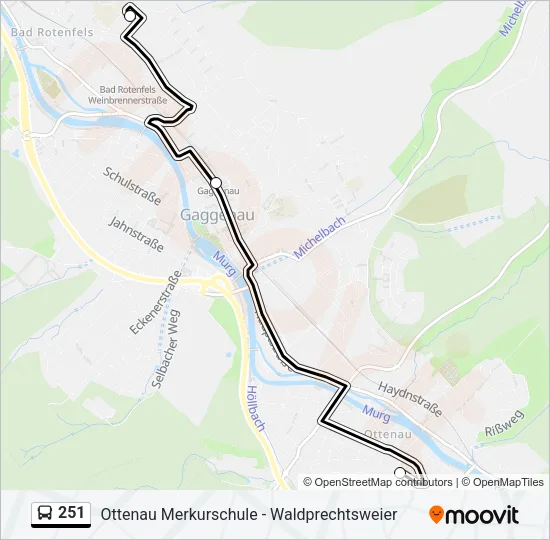 251 Bus Line Map